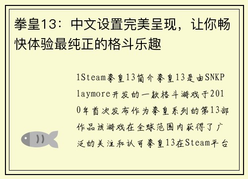 拳皇13：中文设置完美呈现，让你畅快体验最纯正的格斗乐趣